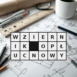 Hasło krzyżówkowe endoskop służący do wziernikowania jamy opłucnowej - wziernik opłucnowy – rozwiązanie, synonimy, podpowiedzi i definicje krzyżówkowe